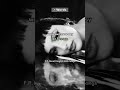 Words - F.R. David | English With Songs #영어 #music #pop #팝송 #lyrics #영어가사 #노래 #songs