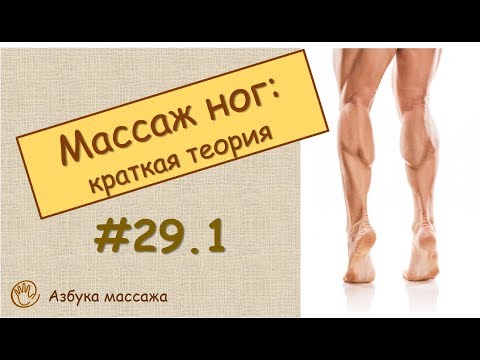 Массаж ног (краткая теория) | Урок 29, часть 1 | Уроки массажа