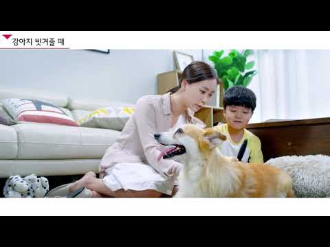 LG <strong>퓨리케어</strong> 360도 공기청정기   실내 미세먼지 가시화 영상 집안 편