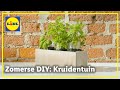 DIY kruidentuin