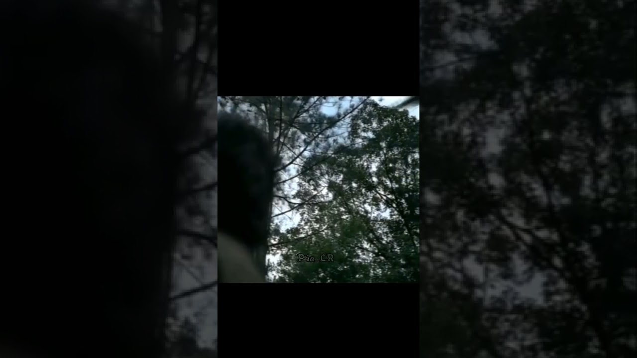 Rick See the Helicopter |The Walking dead