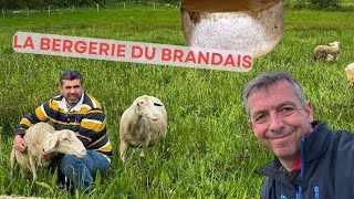 Le seul producteur de fromage au lait de brebis de Vendée : la Plus belle ferme de France 2024/3