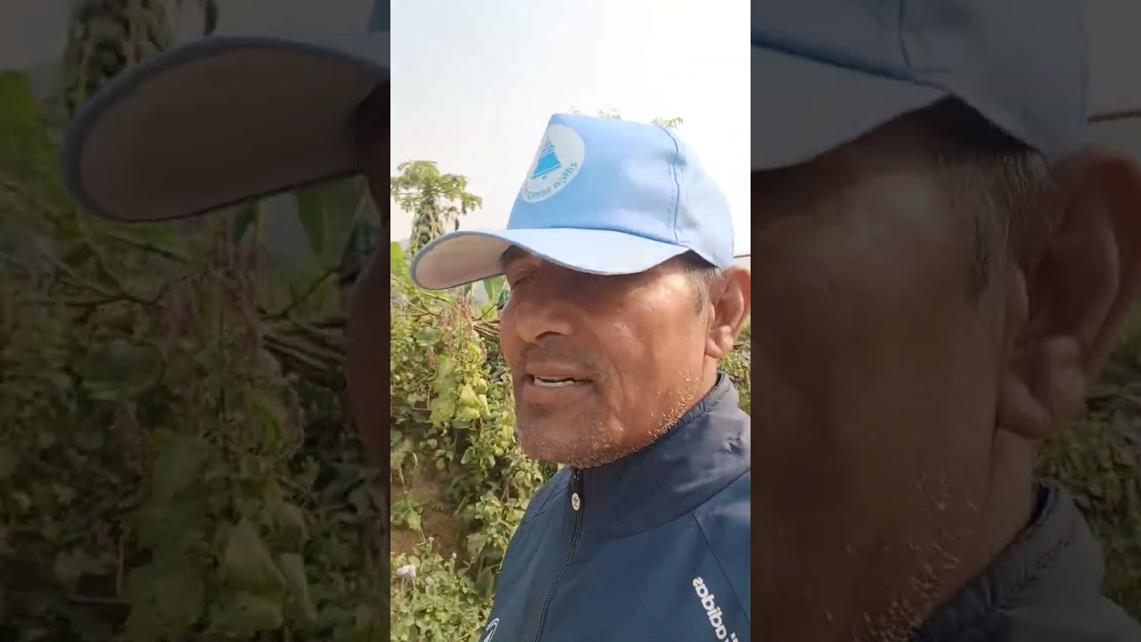 Asfnai gauma ramaudaixu 