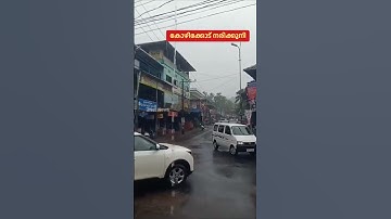 കോഴിക്കോട് നരിക്കുനിയിൽ ഇന്നത്തെ മഴ • Rain in Narikkuni • #shorts #trending #viral #rainvideo #rain