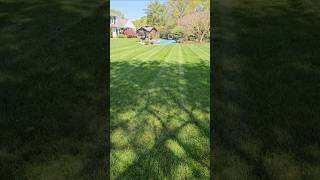 Por que en algunas áreas no crece  el pasto estas son las razones 🌳🌳#jardinería