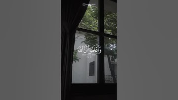 {.. واتقوا الله واعلموا ان الله مع المتقين (١٩٤)  } || سورة آل عمران || د.الشيخ ياسر الدوسري.