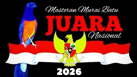 masteran MURAI cetak "JUARA NASIONAL 2026"👉 segudang materi & tembakan mewah #muraibatujuaranasional