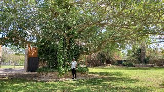 Hacienda Santuario Noc-Ac en Mérida Yucatán