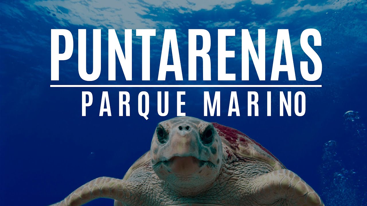 ¿Acuario en Puntarenas? - Parque Marino del Pacifico | COSTA RICA - YouTube