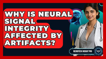 Why Is Neural Signal Integrity Affected By Artifacts? - Neurotech Insight Pro