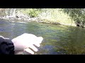 Ловля ленка на реке Ульбинка