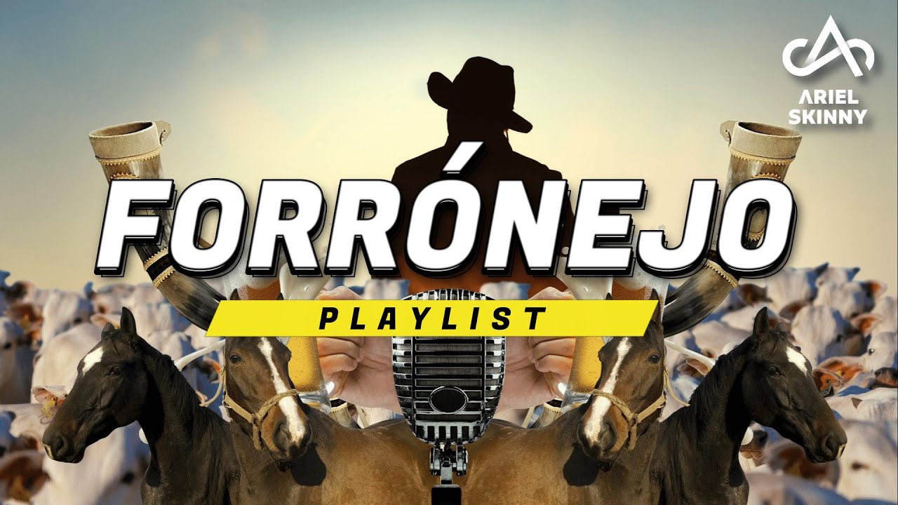 FORRÓNEJO - PLAYLIST [Prod. Ariel Skinny]