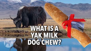 How Do They Make a Dog Chew From Yak Milk?