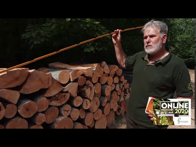 ERDEI VÁLASZTÉK - azaz mennyi az 1 köbméter fa? - YouTube