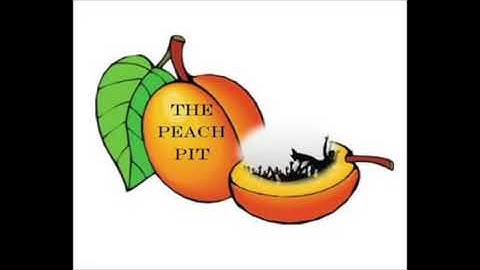 Vulkan Interview with Christian Fredriksson