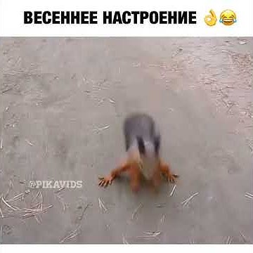 Африк Симон 2 - YouTube
