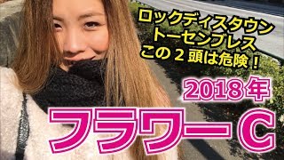 【競馬予想】2018年 フラワーCの予想【星野るり】