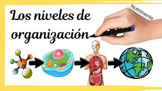 Niveles de organización de la materia y los seres vivos