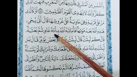 3 مقاطع لتصحيح التلاوة •