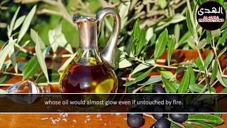 Light Upon Light | Sheikh Yasser Al-Dosari | Mesmerising Qur'aan Recitation