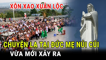 🔴Đức Mẹ Núi Cúi Hiển Linh? Câu Chuyện Kỳ Diệu Khiến Nhiều Người Rơi Lệ - Xin cầu nguyện