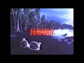 ジャルパックCM「スーパースターのリゾート」1980年代
