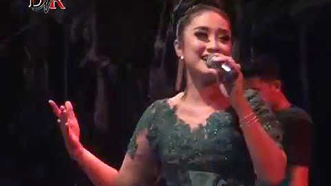 Anisa Rahma    Bagai Ranting Yg Kering - DNR Music