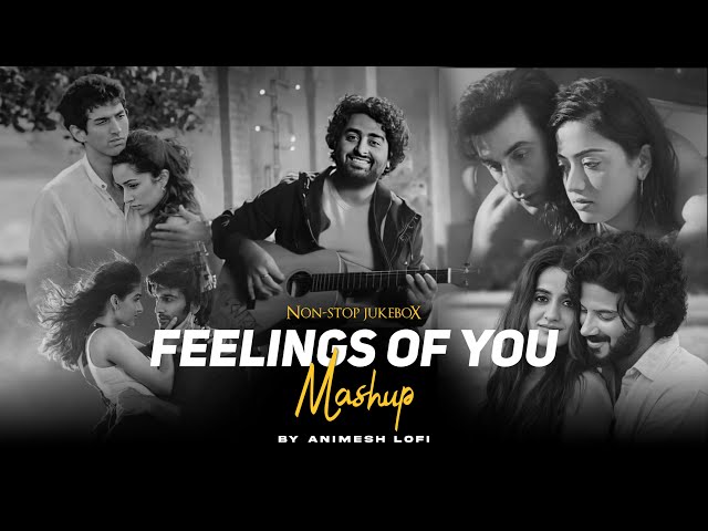 Feelings Of You Mashup | Non-Stop Jukebox | Animesh Lofi | Feeling Chillout Mashup 2023 class=