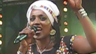 Mo'Kalamity & The Wizards-Kingdoms Of Africa Live@Öland Roots 2019-07-13