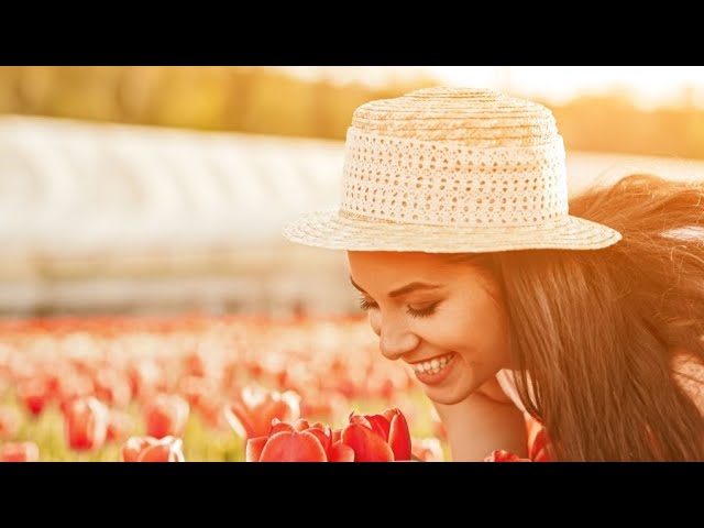 Vital Nutrients for Improved Memory and Sense of Smell