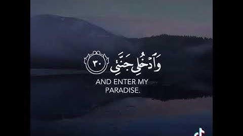 خالد الجليل - سورة الفجر