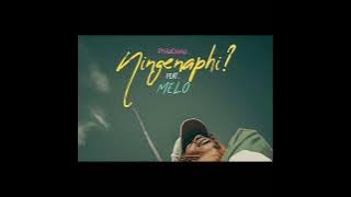 Ningenaphi ft.Melo (prod by PhilaDeepMusiQ)