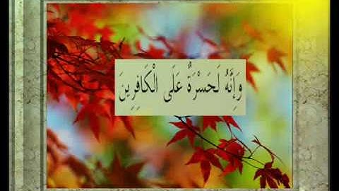القران الكريم سورة الحاقة الأية 50.wmv