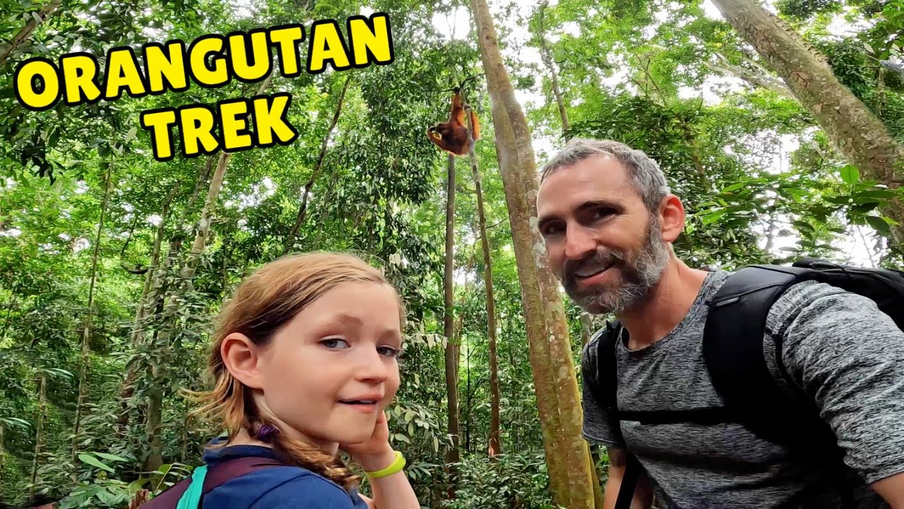 Orangutan Jungle Trek In Sumatra, Indonesia 🇮🇩 | Kelly Gets Injured 😱
