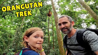 Orangutan Jungle Trek in Sumatra, Indonesia 🇮🇩 | Kelly Gets Injured 😱