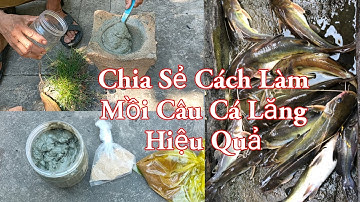 CHIA SẺ CÔNG THỨC LÀM MỒI CÂU CÁ LĂNG SÔNG HIỆU QUẢ