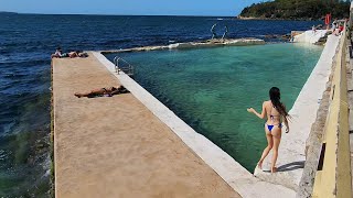 Shelly Beach  A Hidden Gem In Manly, Sydney