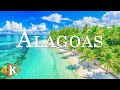 Alagoas 4K - Turquoise Seas and Endless Coconut Palms with Relaxing Music - 4K Video Ultra HD