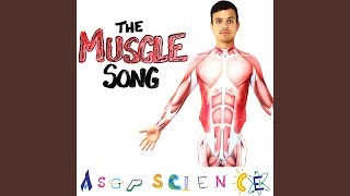 The Muscle Song
