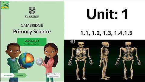 Cambridge primary science grade 4| Workbook answersUnit:1 complete |  Unit 1.1, 1.2,1.3,1.4,1.5