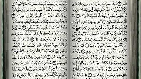 سورة السجدة بصوت القارئ الشيخ ياسر بن راشد الدوسري