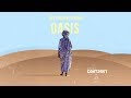 The Disappearing Oasis