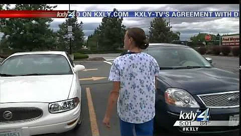 Good Samaritan helps police corral purse snatcher