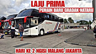 Download Lagu MENYORE!!ADA LAJU PRIMA YANG BOGOR BERANGKAT DULU,,TIVIDI DISERBU..JAM DENPASARAN INFONYA FULL SEAT, MP3