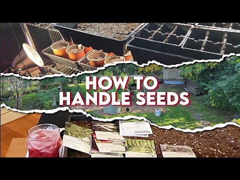 How to Handle Seeds | Early Spring Seeding | Gardening Tips ...