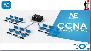 Securing the Switch CLI