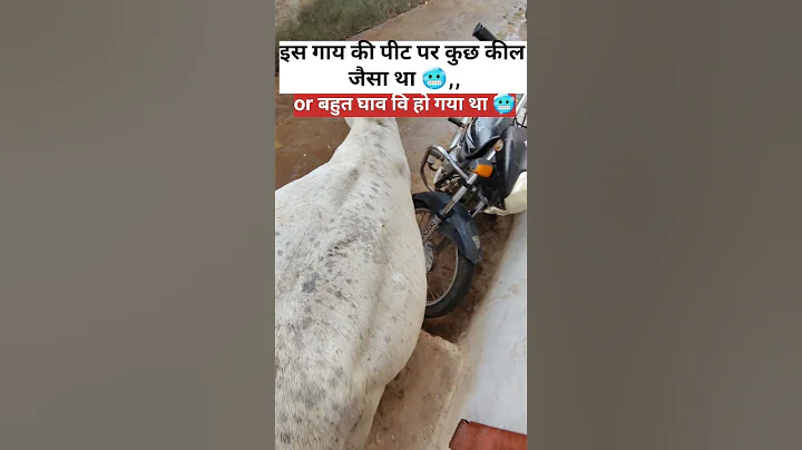 जय श्री राम 🚩##gaumata #cow #gaushala  #gau #jaigaumata #gauraksha#goraksha  #gauseva #gaumataa 🥰💖