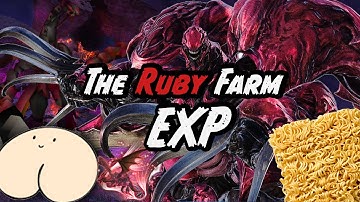 The FFXIV Ruby Farm EXP