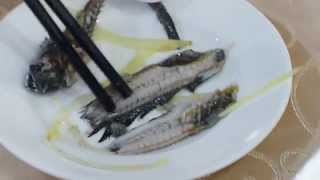 阿霞飯店教你如何吃花跳(彈塗)魚 