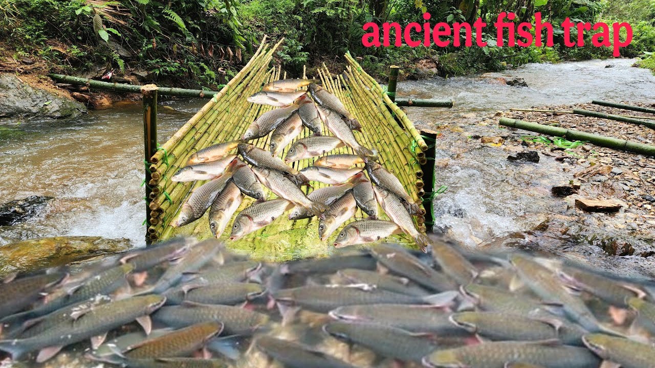 An ancient fishing method has brought unexpected results on Ana's fishing trip.